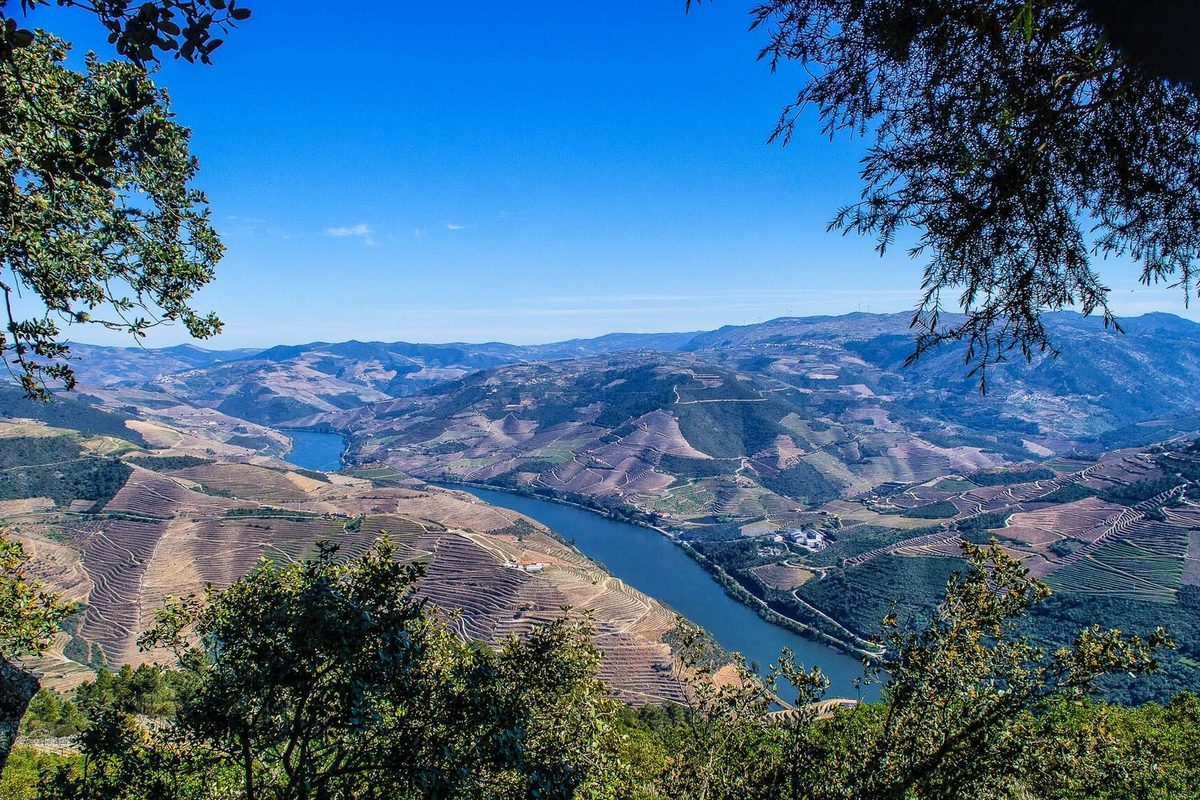 Douro River winding through terraced green hills in northern Portugal